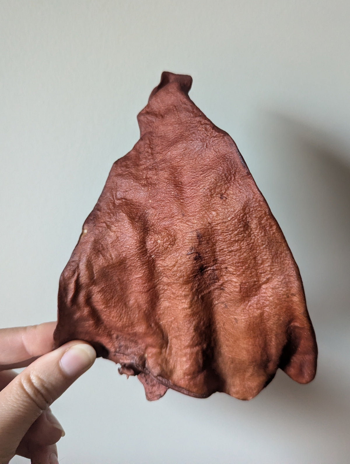 Smoked Bull Ears