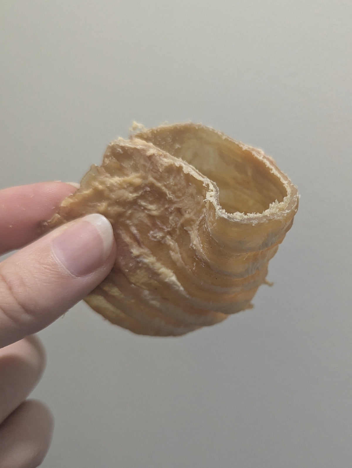 Beef Trachea Curls