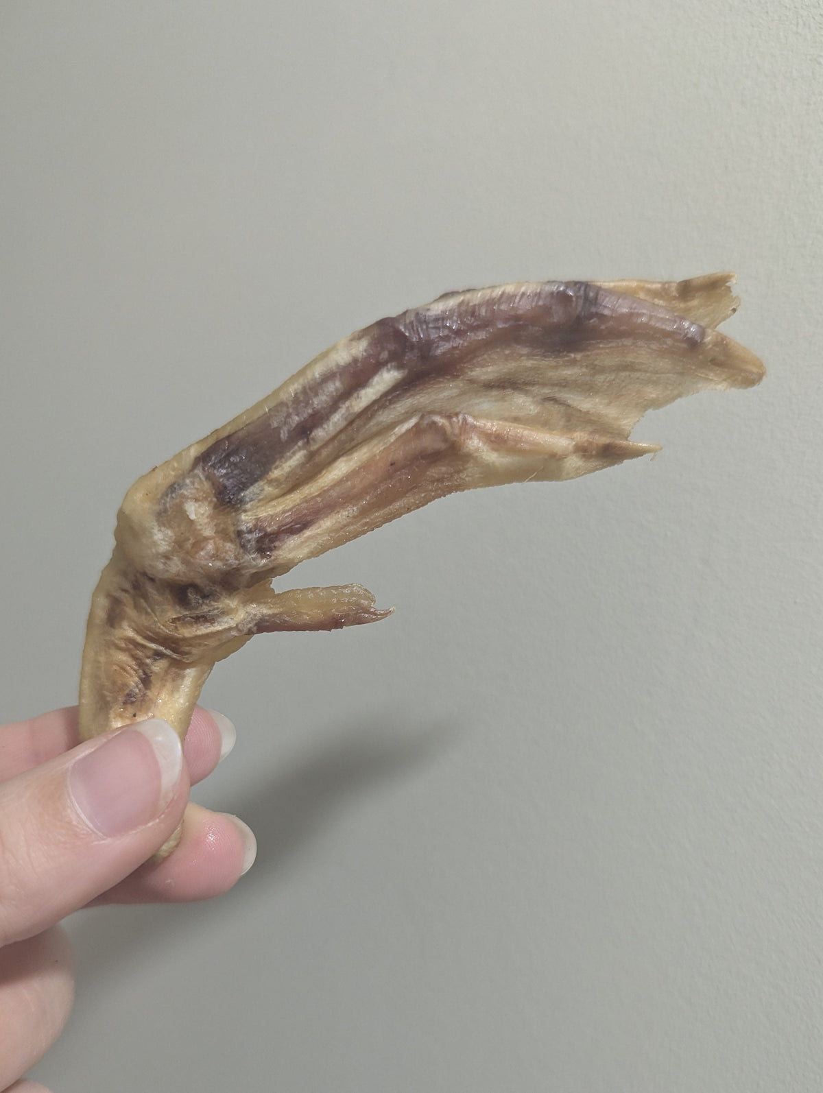 Duck Feet