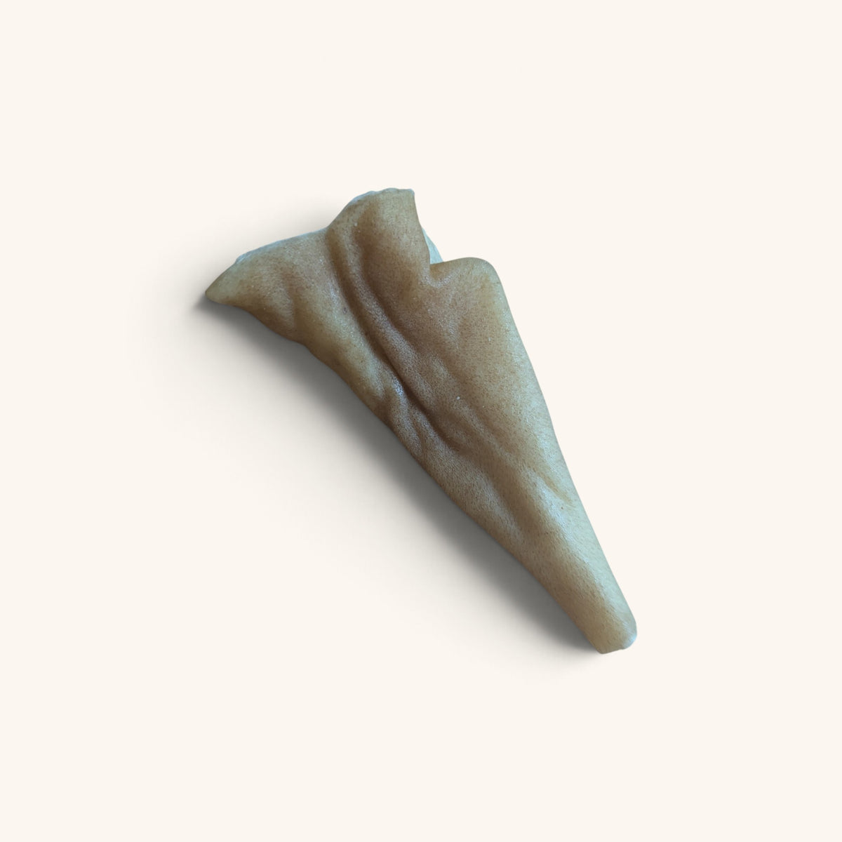 Beef Skin