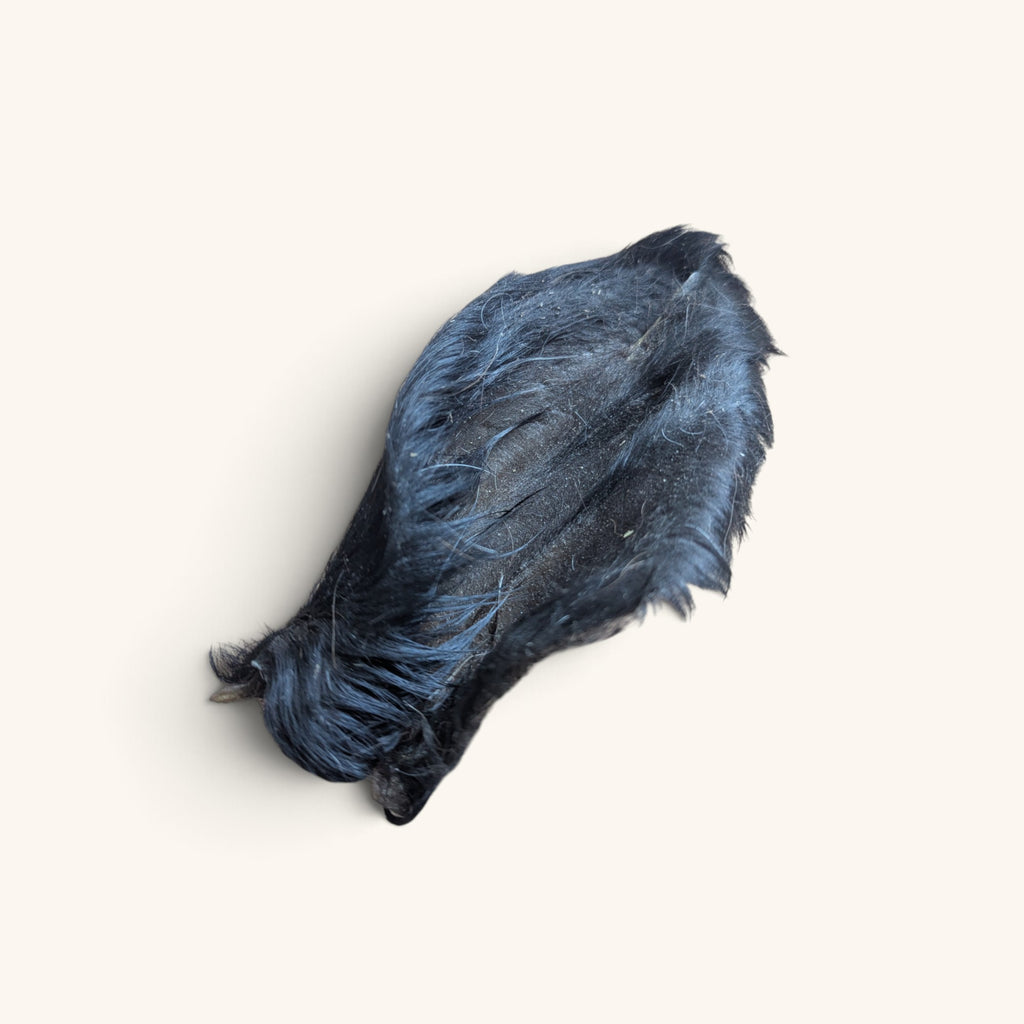 Hairy Cow Ears