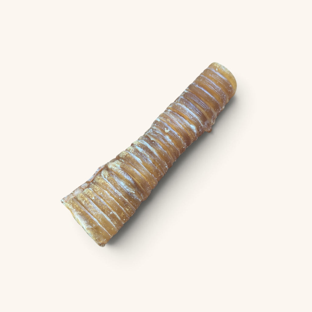 Beef Trachea 12–15cm