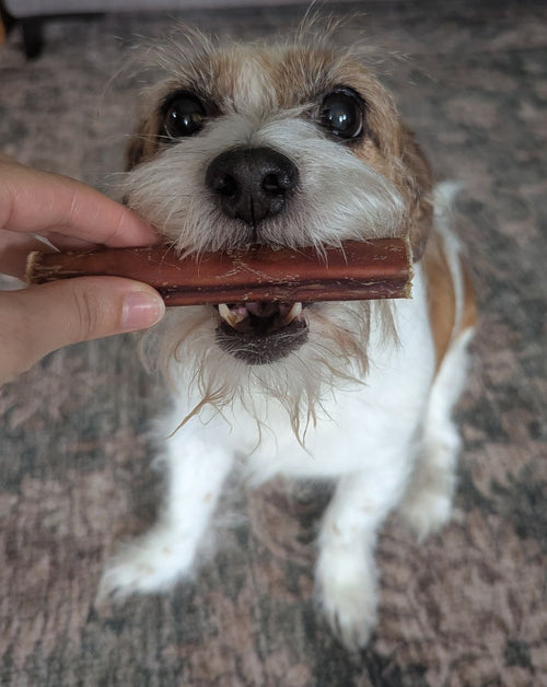 Bully Sticks 12cm