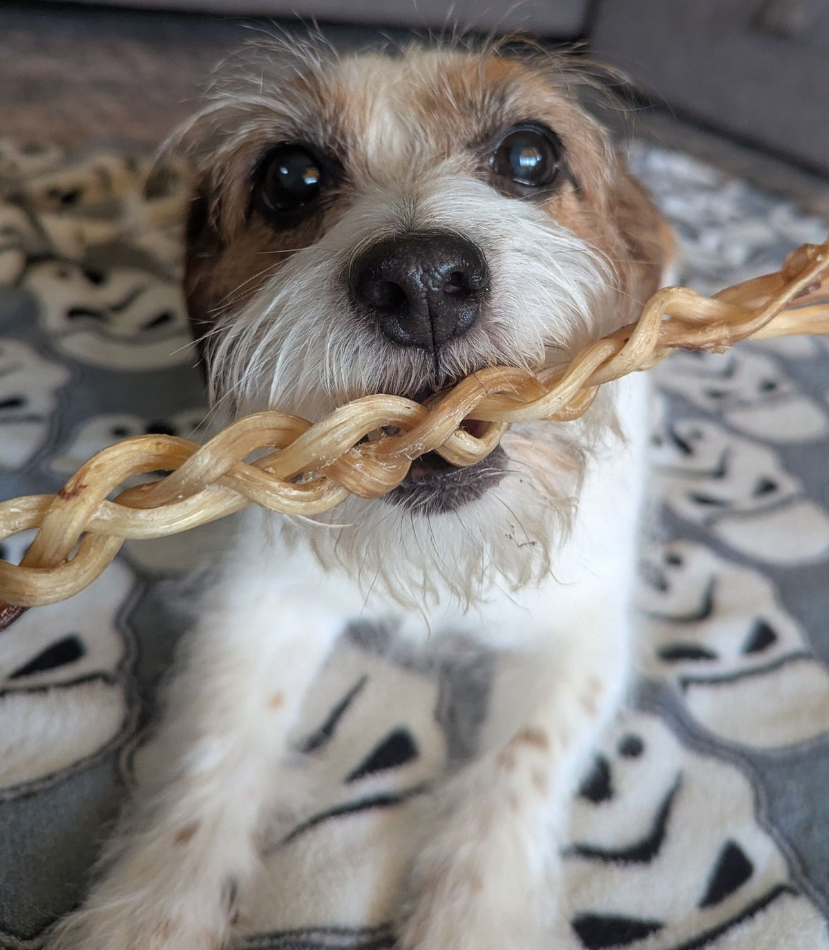 Ostrich Tendon Twisters
