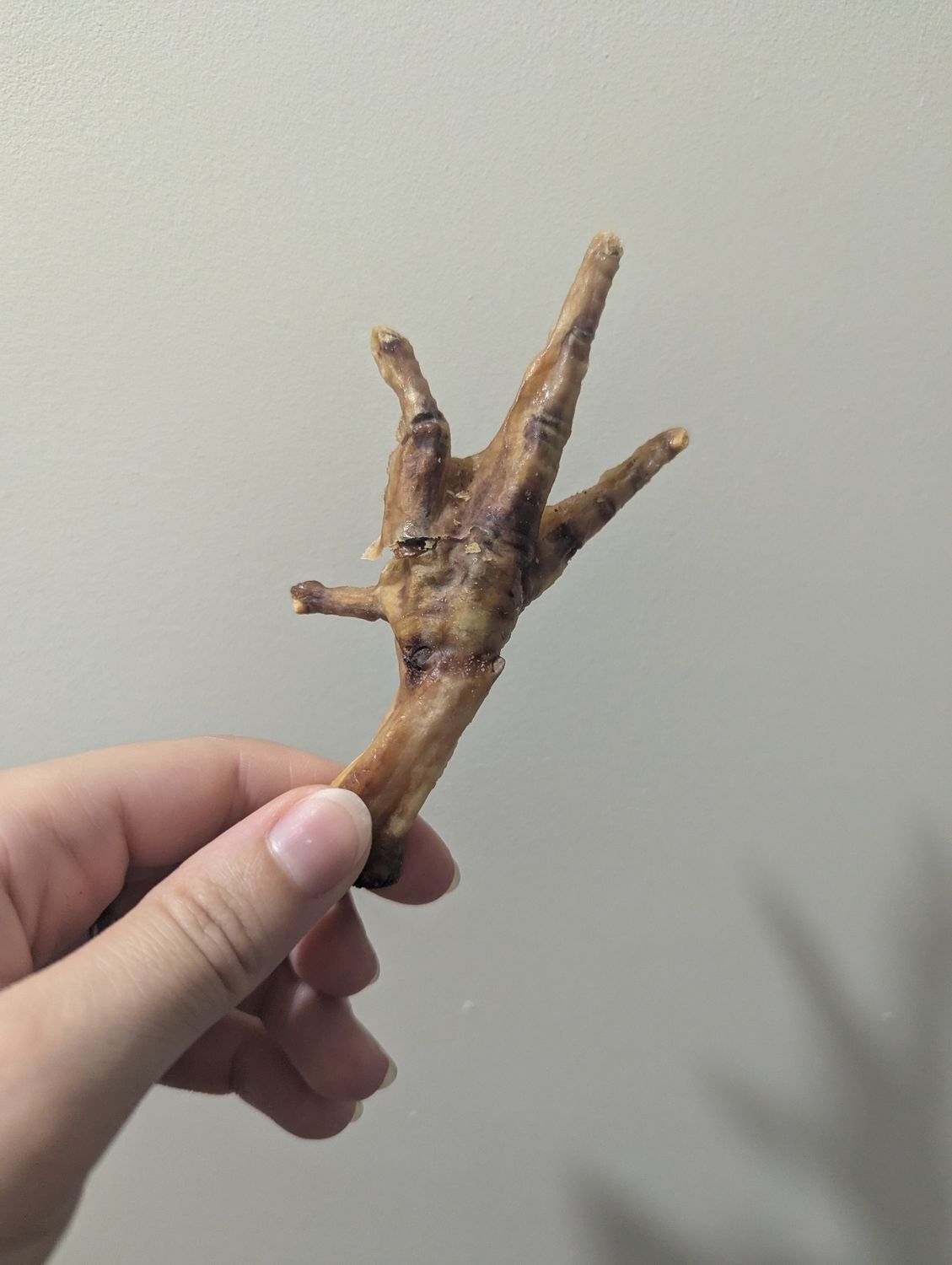 Chicken Feet