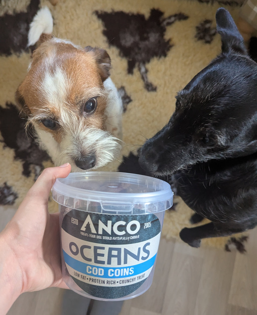 Anco Oceans Cod Coins 150g
