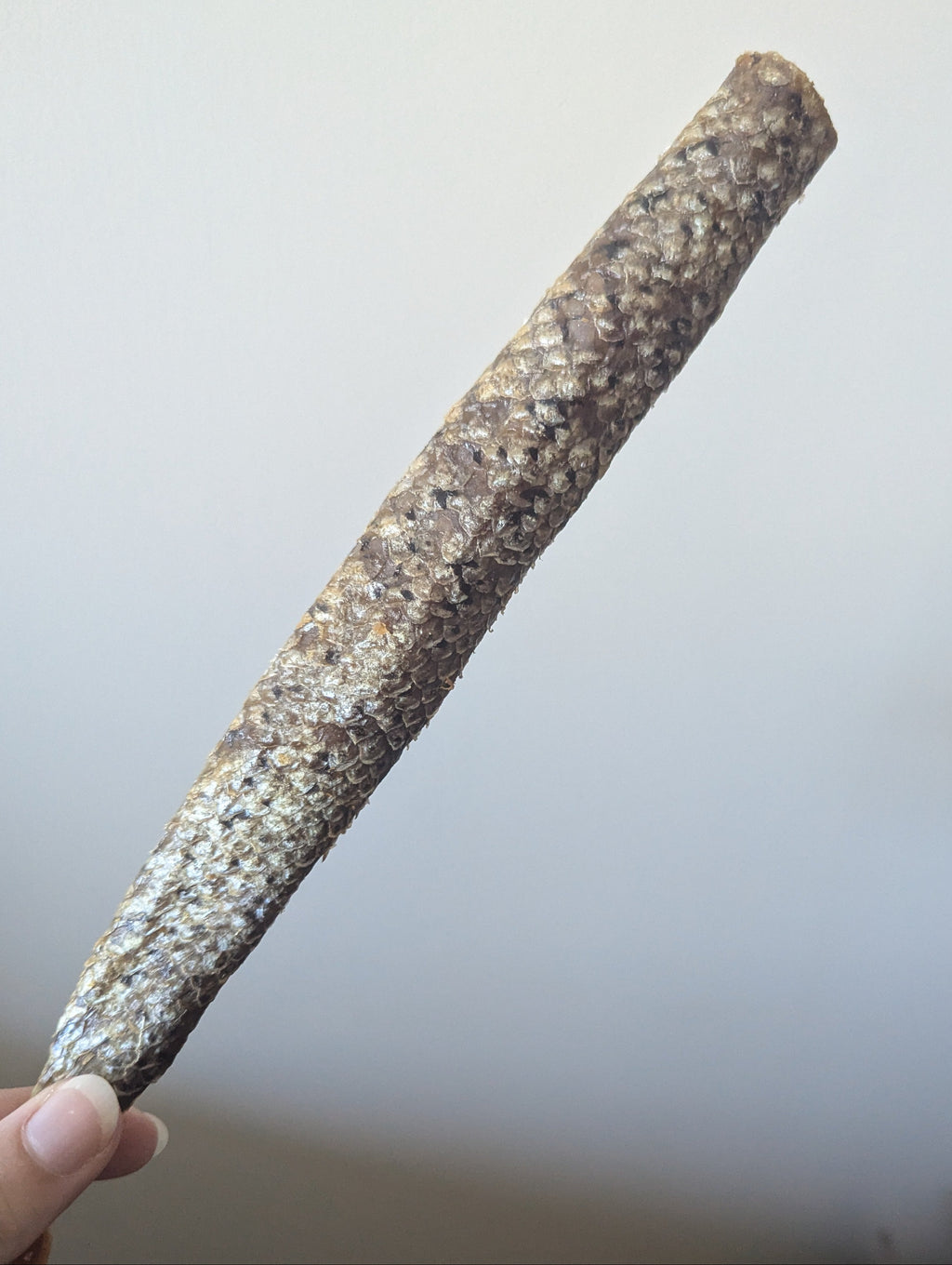 Salmon Skin Rolls