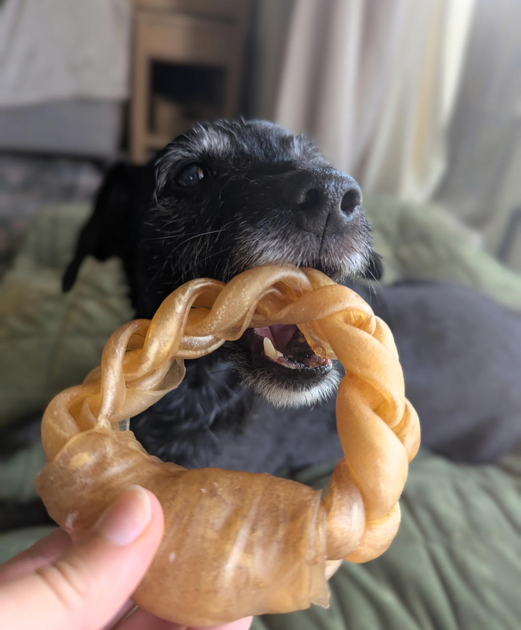 Buffalo Collagen Braided Rings