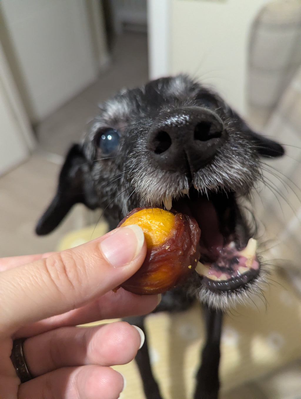 Duck wrapped egg yolk