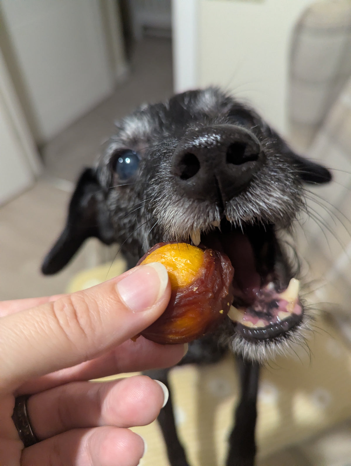 Duck wrapped egg yolk