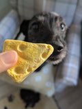Freeze Dried Cheese Chunk