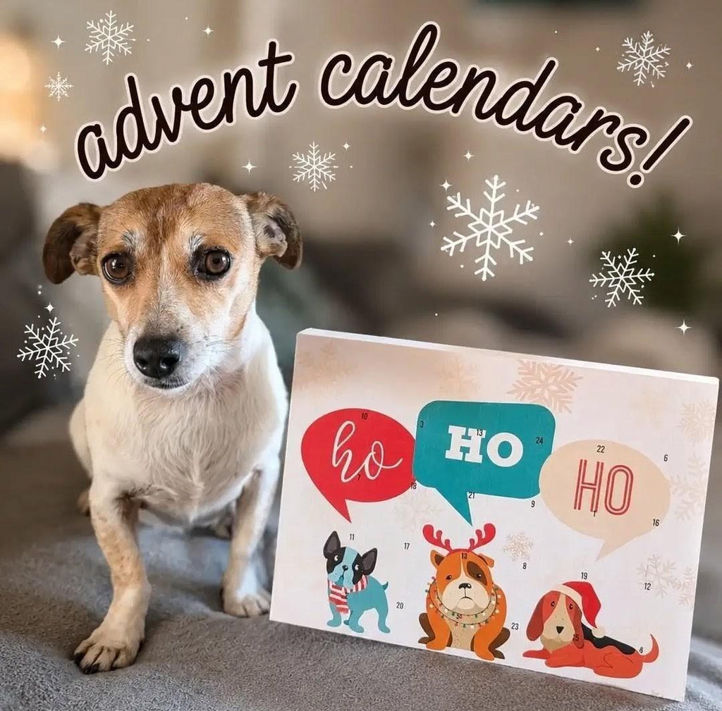 Doggy Choc Shop Advent Calendar – Handmade Carob Christmas Dog Treats