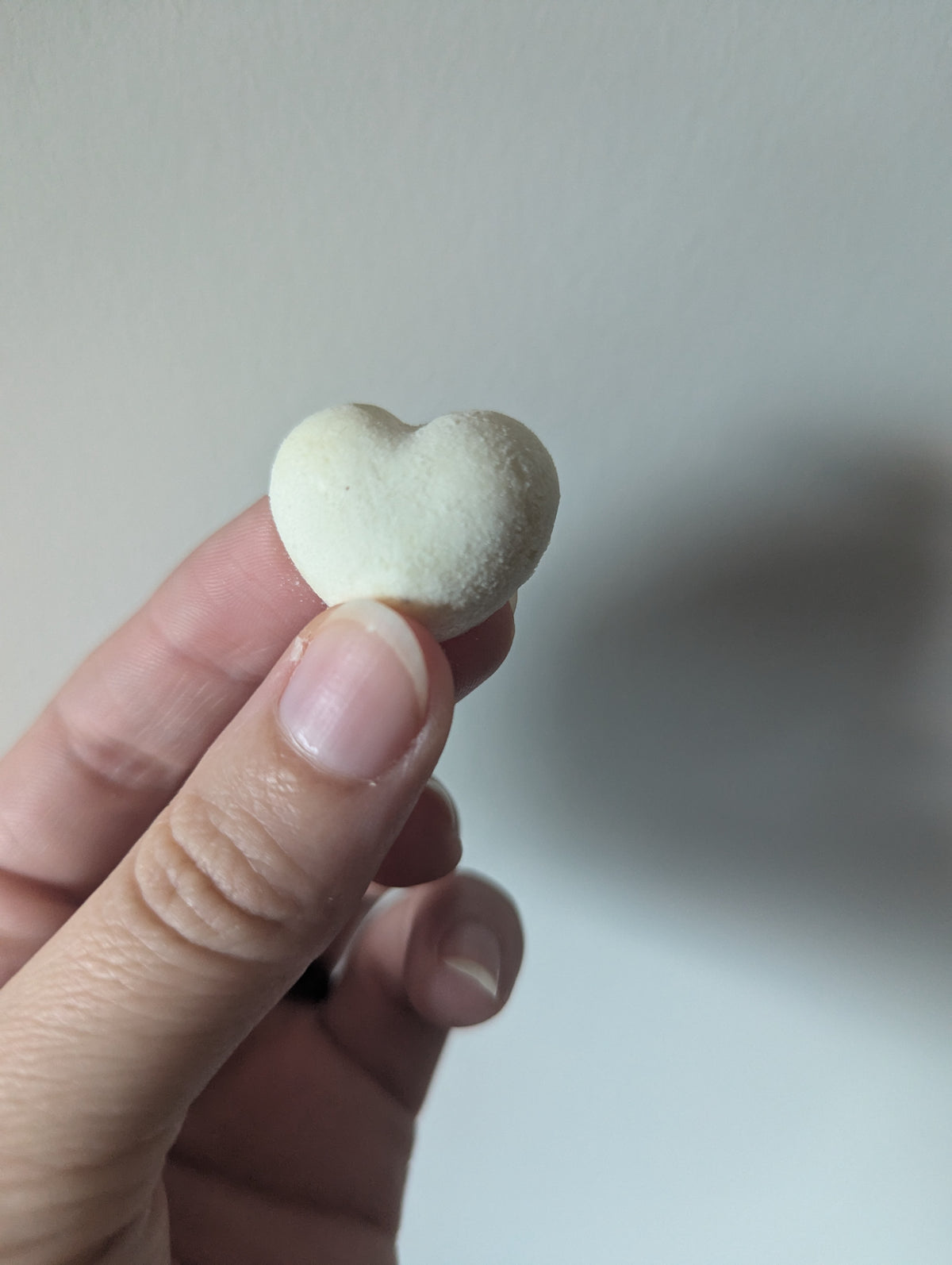 Freeze dried Goat Milk Heart