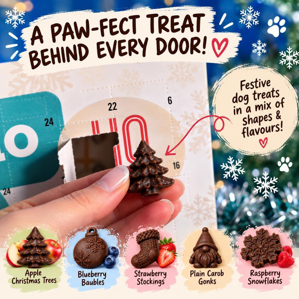 Doggy Choc Shop Advent Calendar – Handmade Carob Christmas Dog Treats