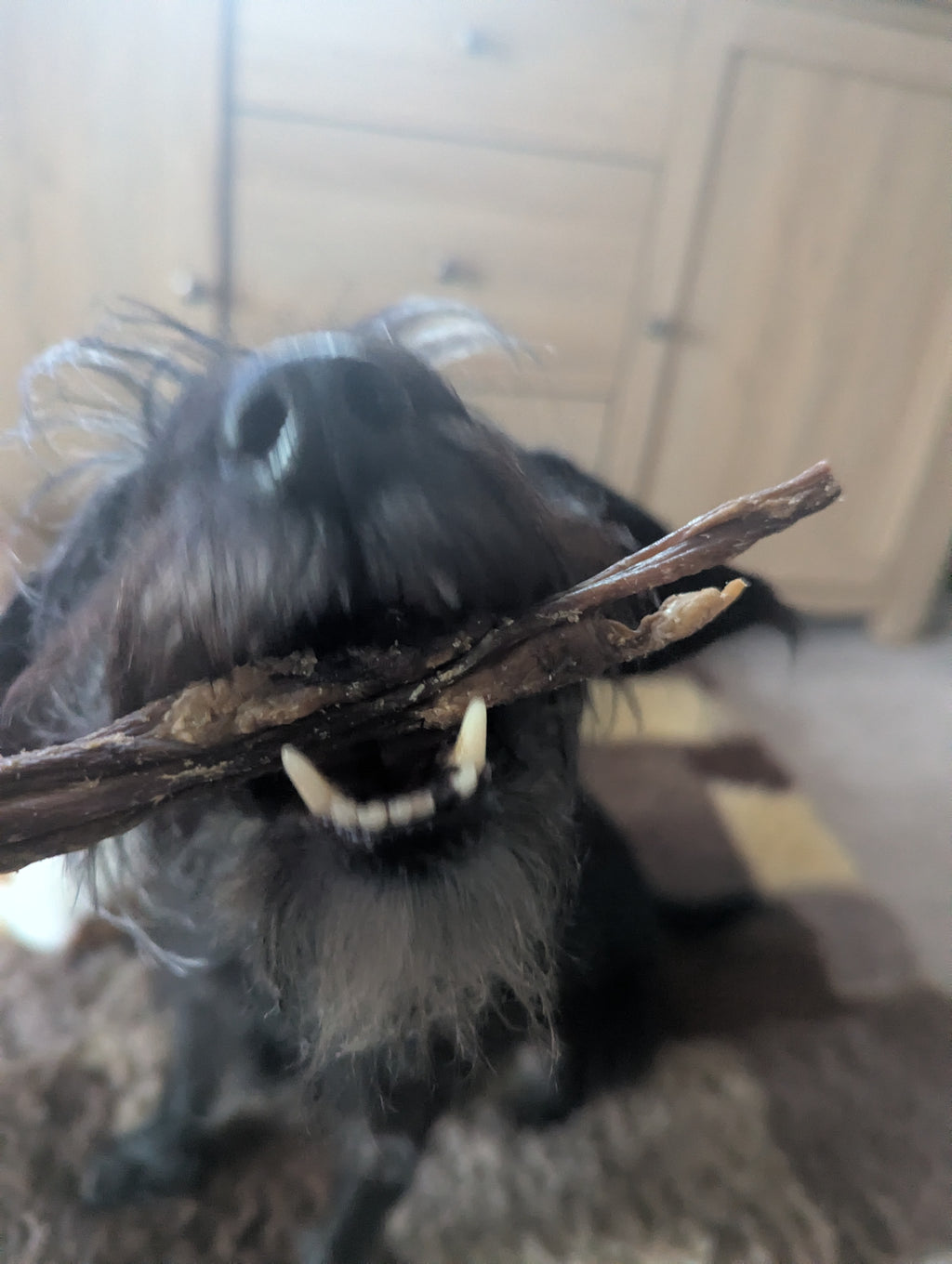Lamb Gullet