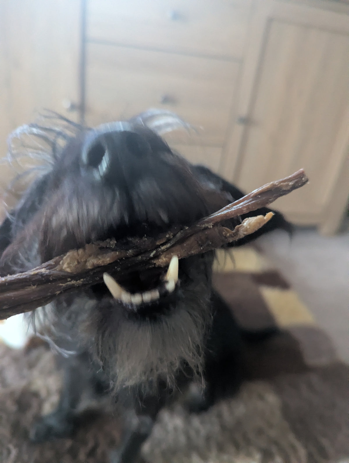 Lamb Gullet