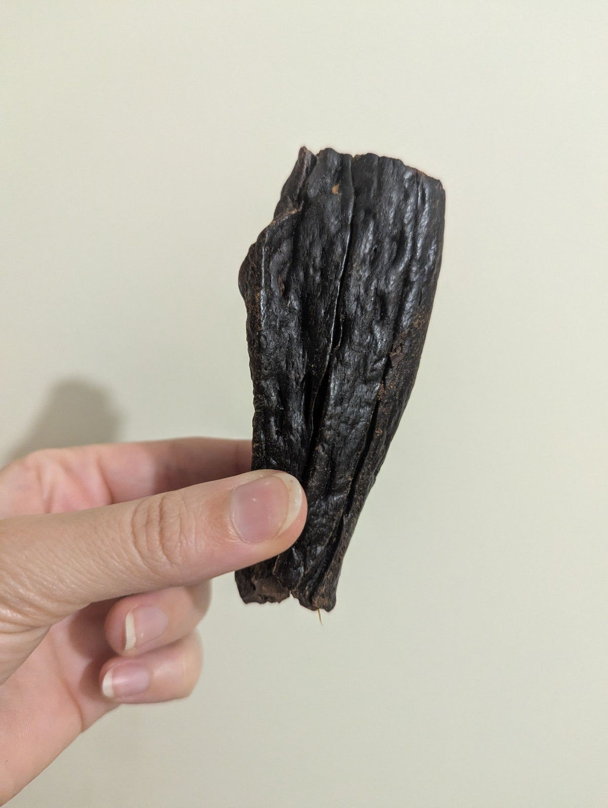 Dried Beef Liver