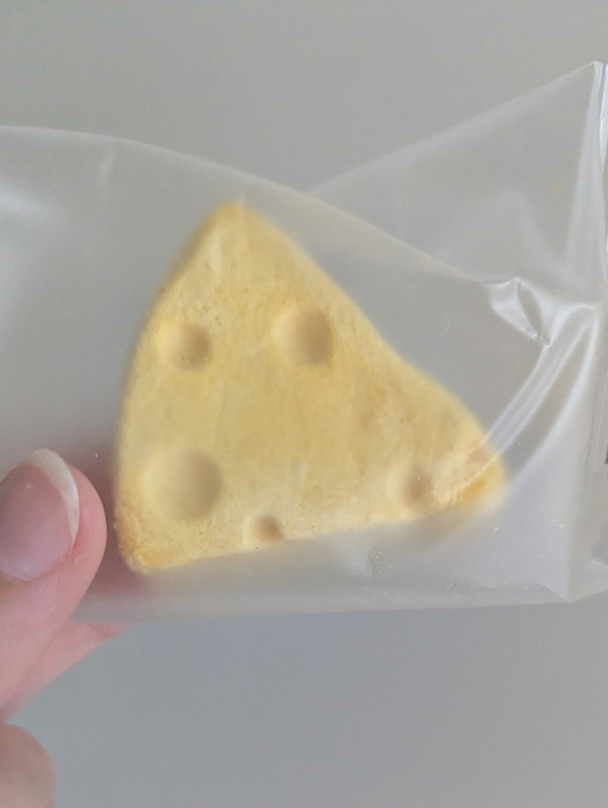 Freeze Dried Cheese Chunk