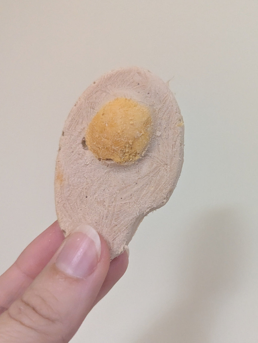 Freeze Dried Poached eggs