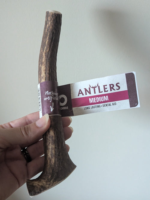 Anco Antlers Medium
