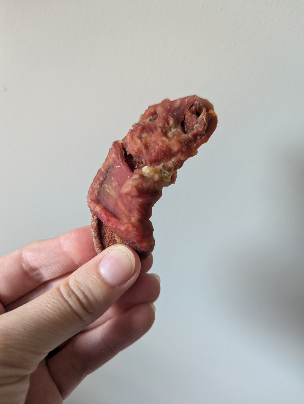 Duck Wrapped Pumpkin