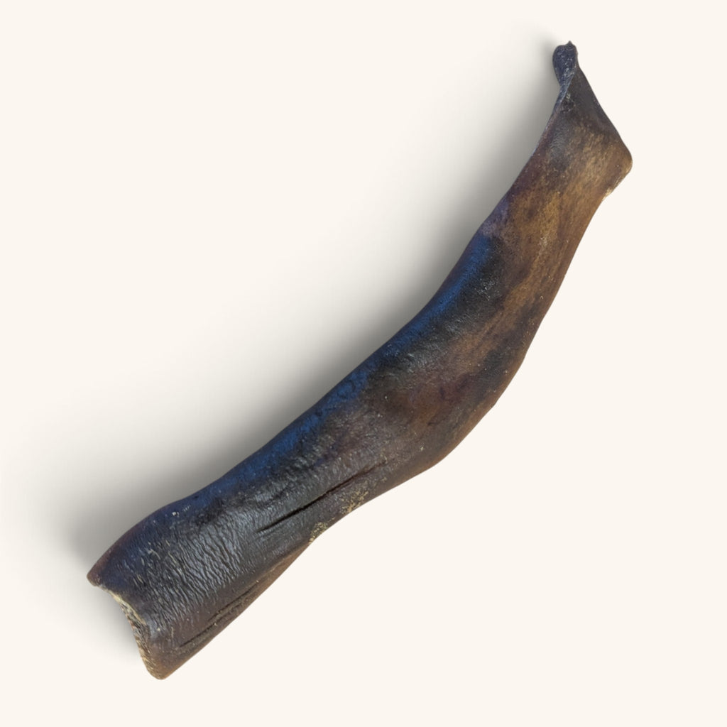 Large Camel Skin