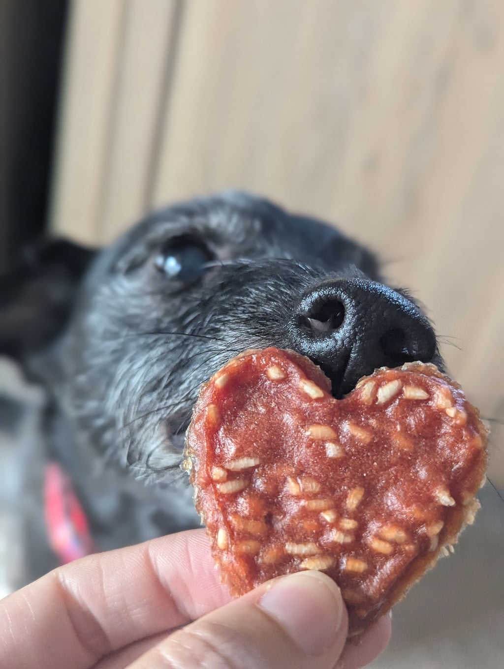 Duck Hearts with Rice