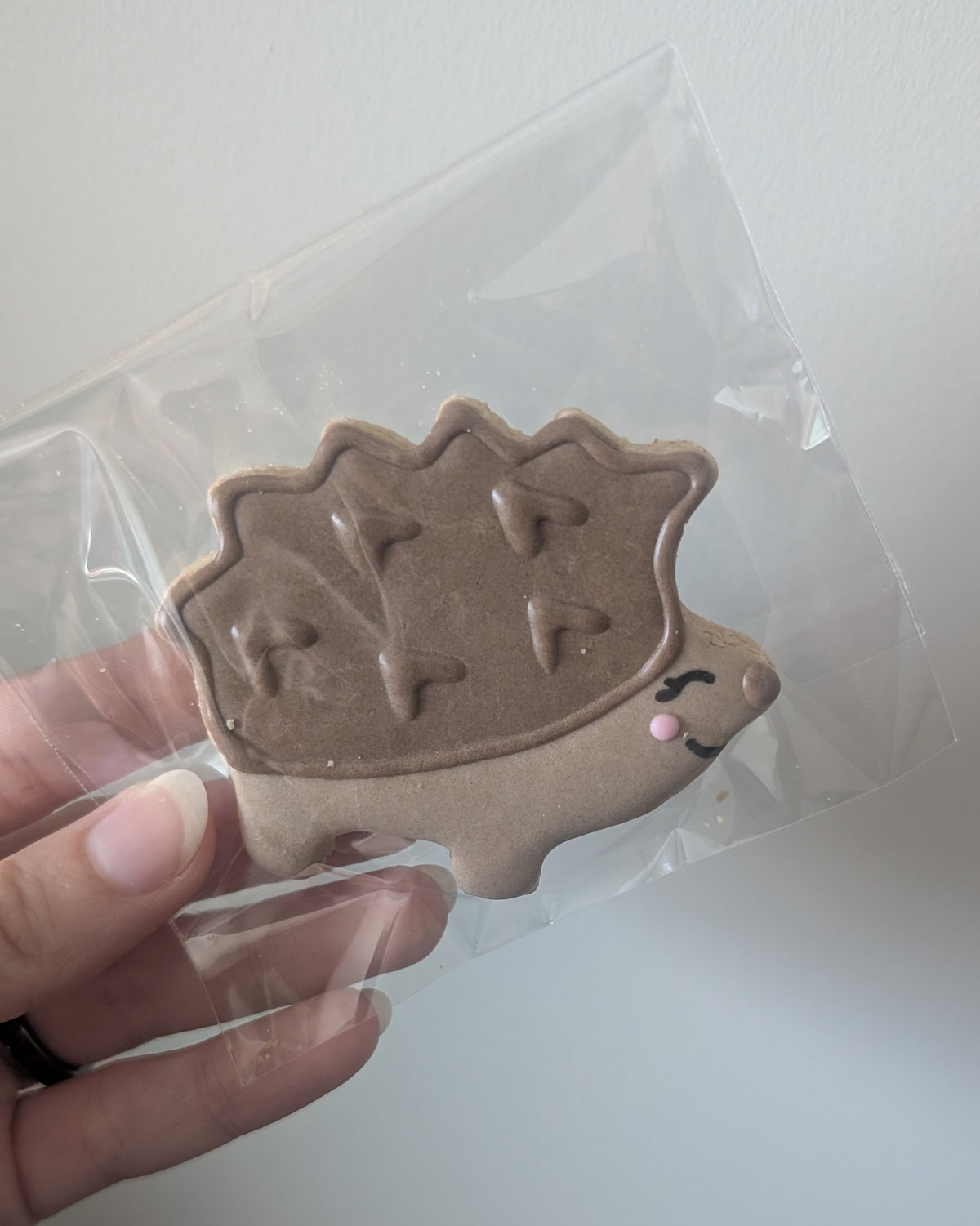 Cute Hedgehog Biscuits