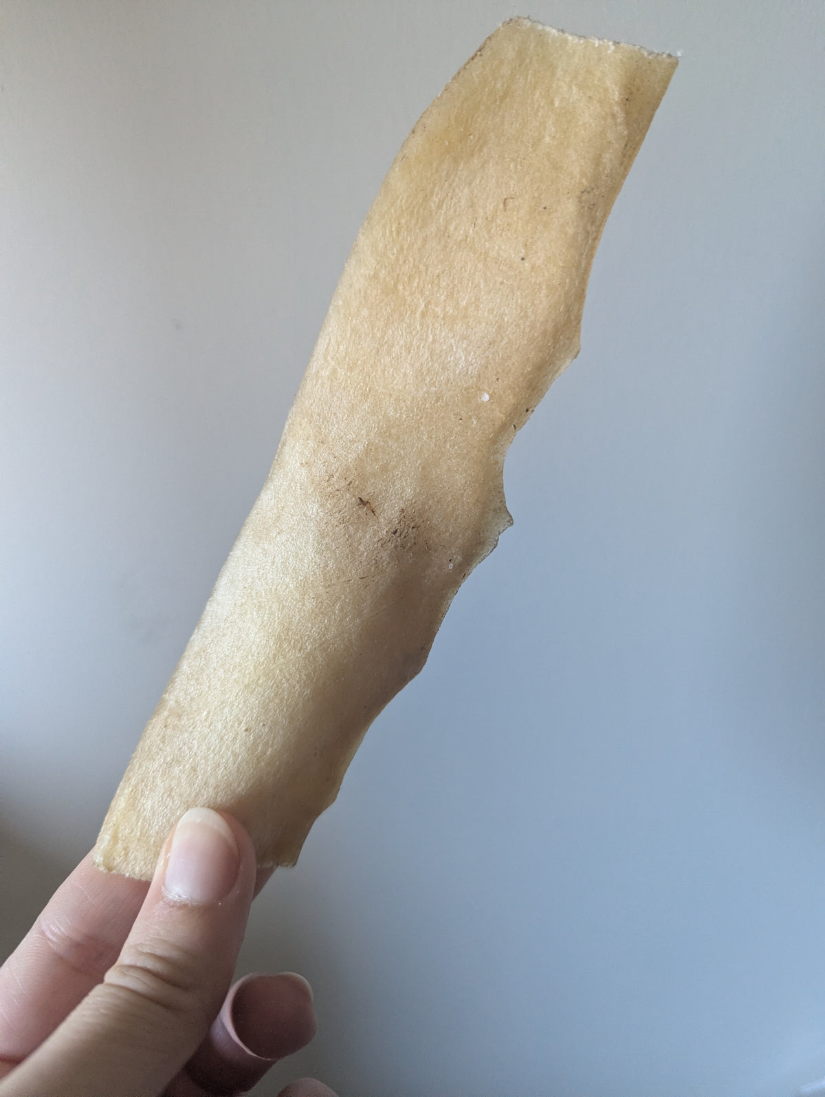 Beef Skin