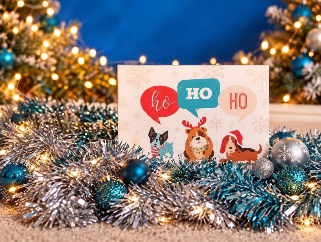 Doggy Choc Shop Advent Calendar – Handmade Carob Christmas Dog Treats