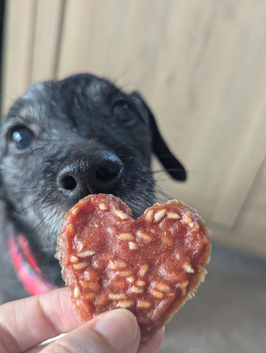 Duck Hearts with Rice