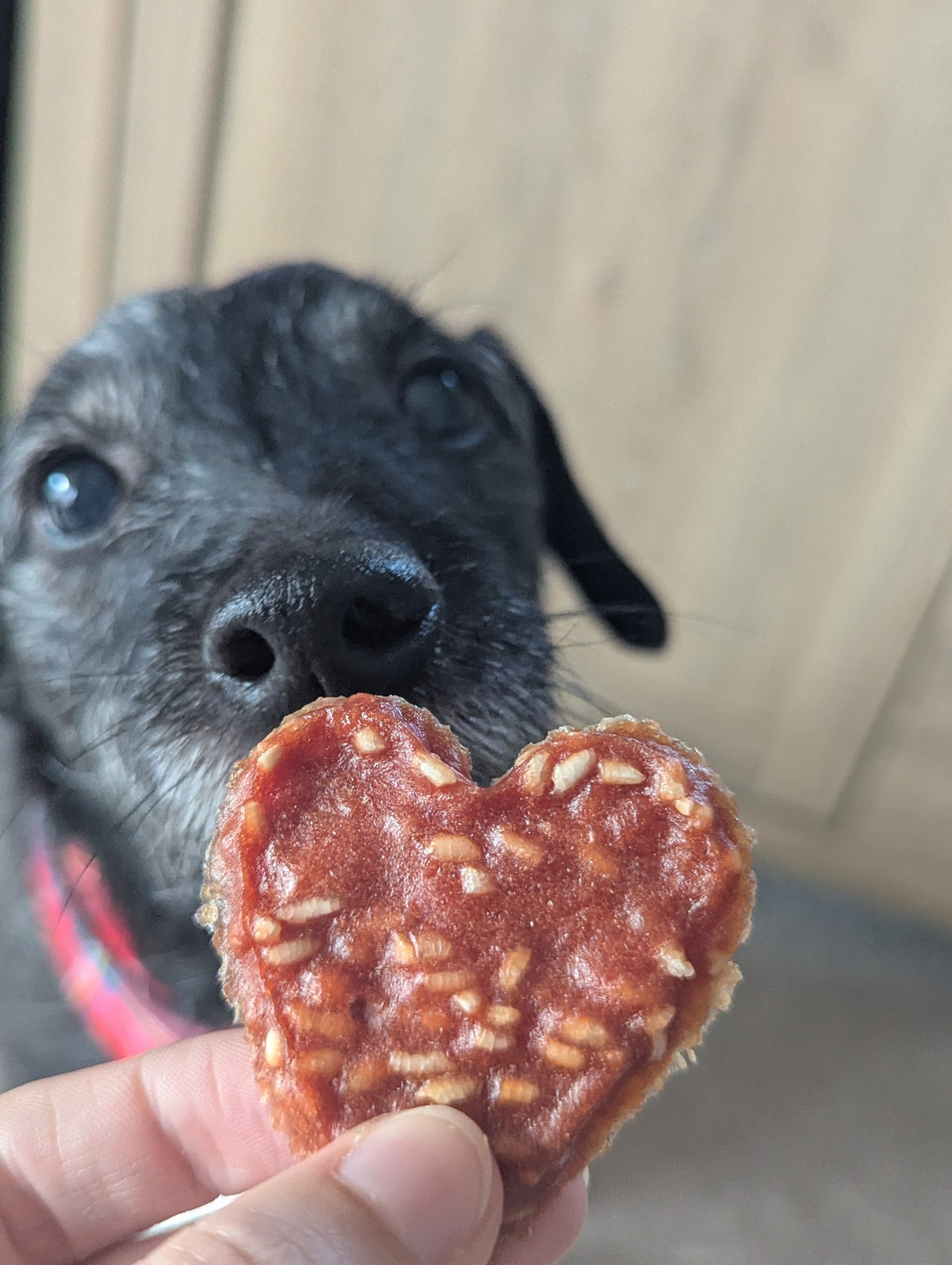 Duck Hearts with Rice
