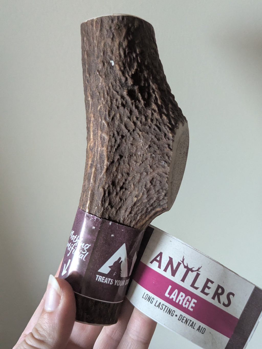 Anco Antlers Large