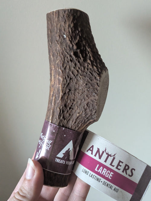 Anco Antlers Large