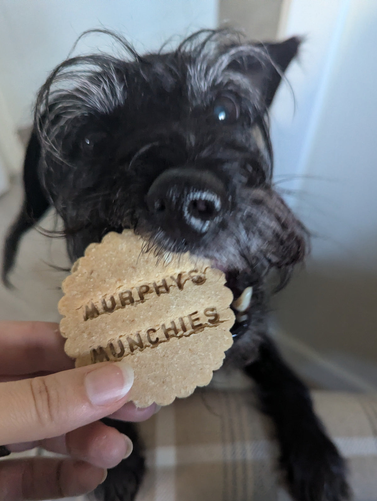 Murphy's Munchies Biscuit